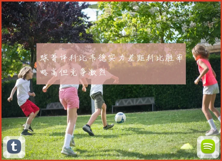 球哥评科比韦德实力差距科比胜率略高但竞争激烈