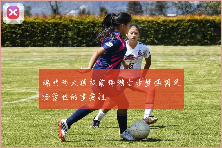 瑞典两大顶级前锋濑古步梦强调风险管控的重要性